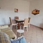 Il Tulipano Di Lia
