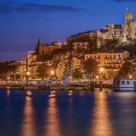 Il Tulipano Di Lia