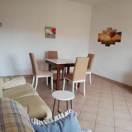 Il Tulipano Di Lia