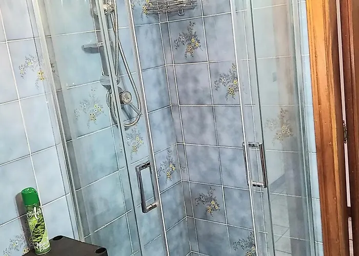 Il Tulipano Di Lia *