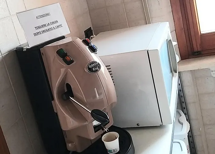 Il Tulipano Di Lia *